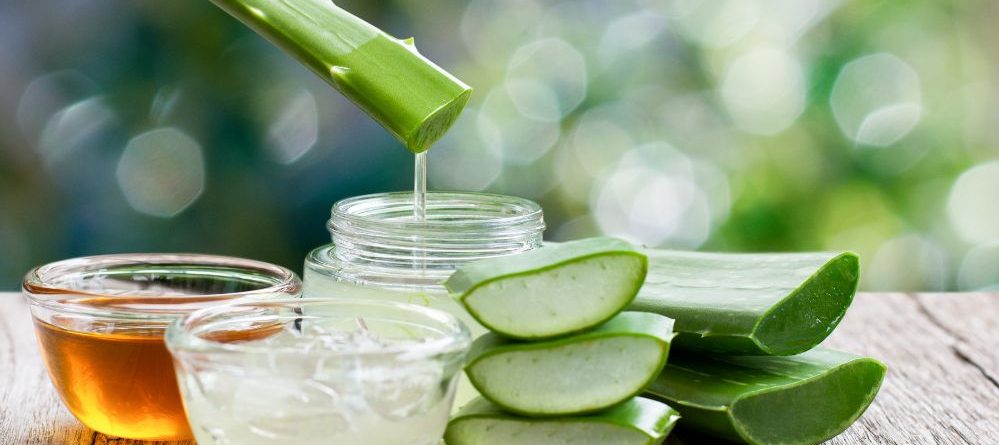 Nila Singapore Aromatherapy Bar | Make Your Natural Eczema Remedy with Aloe Vera Gel and These 5 Best Essential Oils